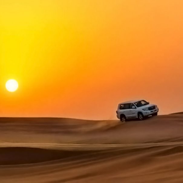 Dune Bashing in Red Dunes